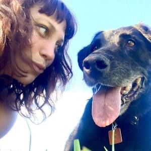 Meet your Posher, Rocky